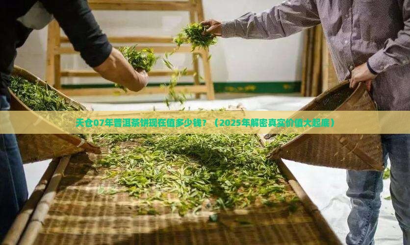 天仓07年普洱茶饼值多少钱