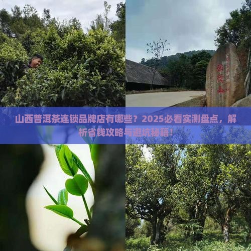 山西普洱茶连锁品牌店有哪些