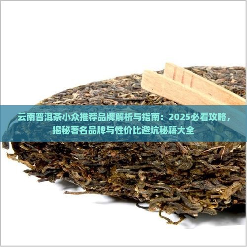 云南普洱茶小众推荐品牌