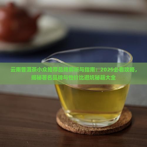 云南普洱茶小众推荐品牌