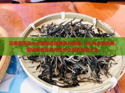 云南普洱茶小众推荐品牌