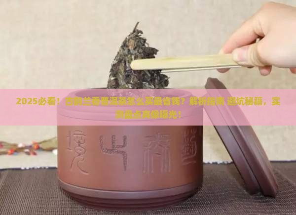古韵兰香普洱茶怎么买
