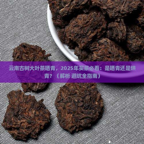 云南古树大叶茶晒青