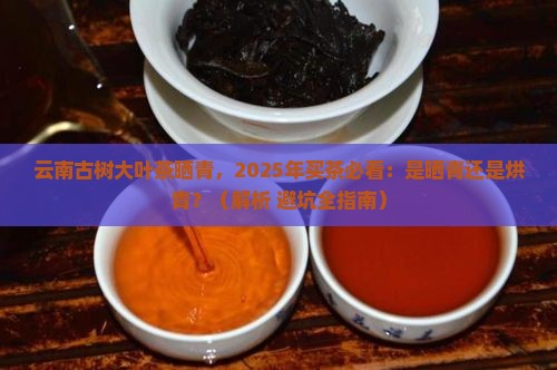 云南古树大叶茶晒青