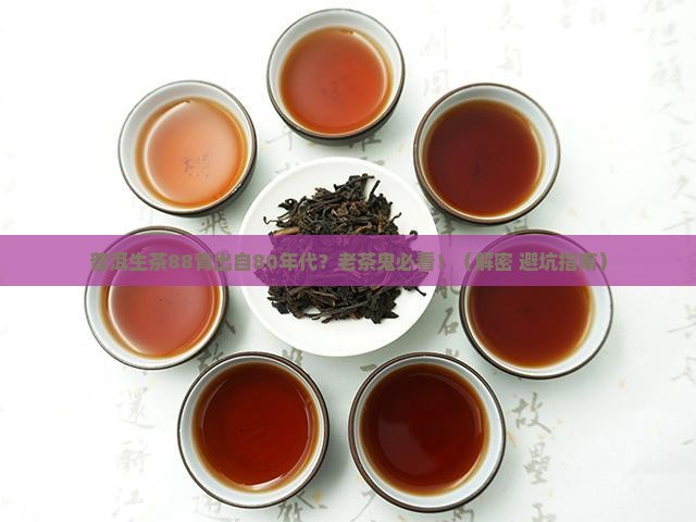 普洱生茶88青80年代