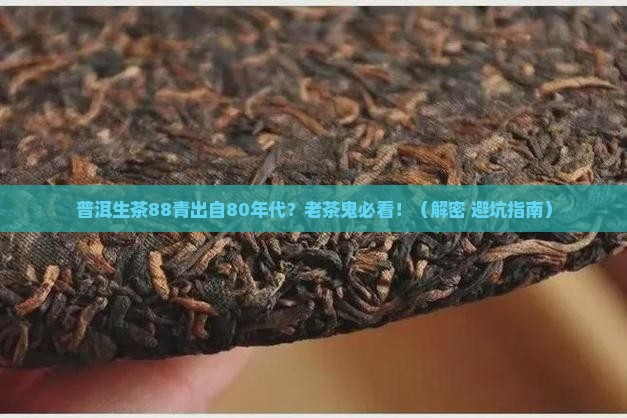 普洱生茶88青80年代