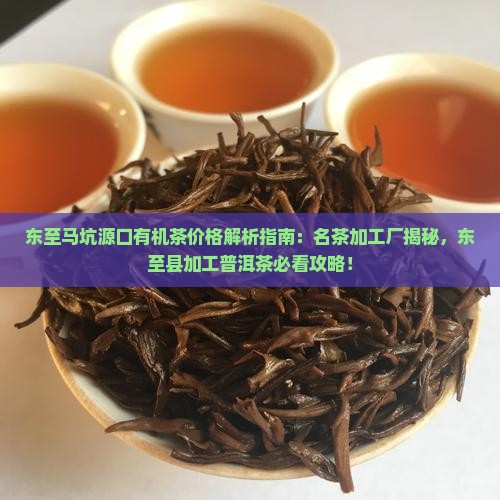 东至马坑源口有机茶价格
