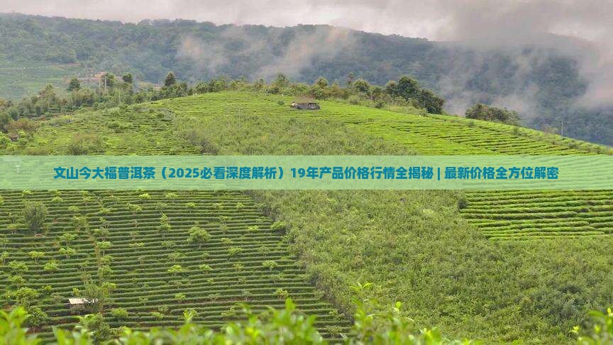 文山今大福普洱茶