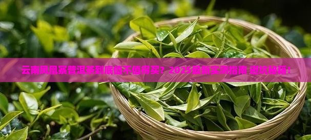 云南凤凰寨的普洱茶如何