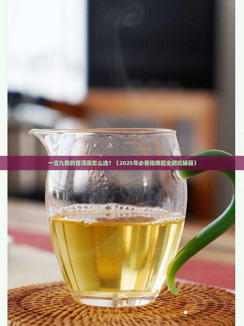 一言九鼎普洱茶