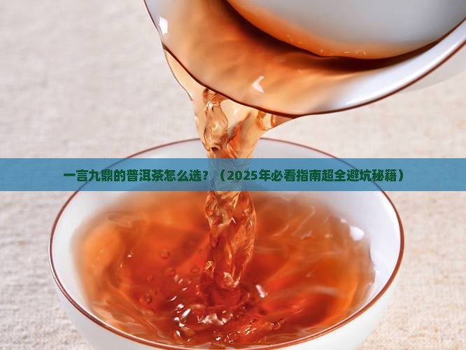 一言九鼎普洱茶