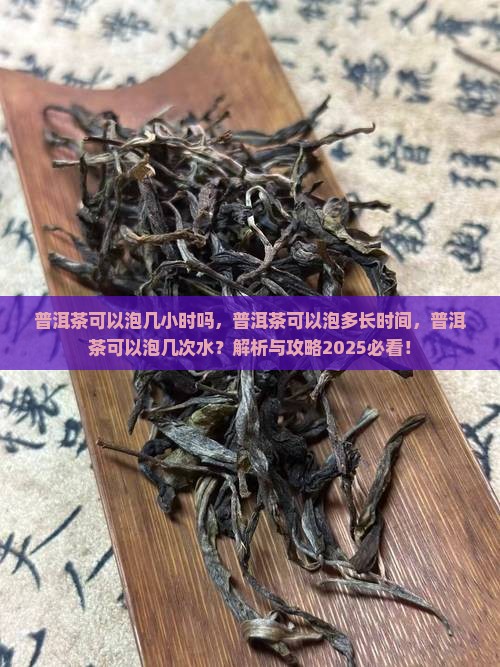 普洱茶可以泡几小时吗
