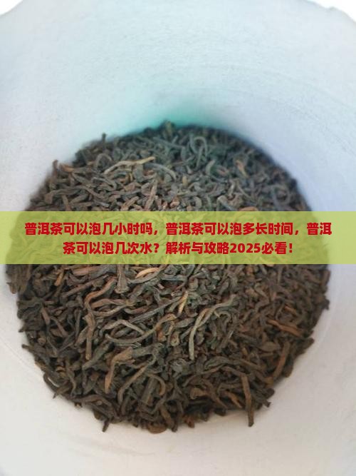 普洱茶可以泡几小时吗