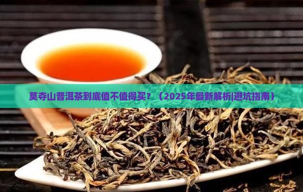 莫夺山普洱茶好吗