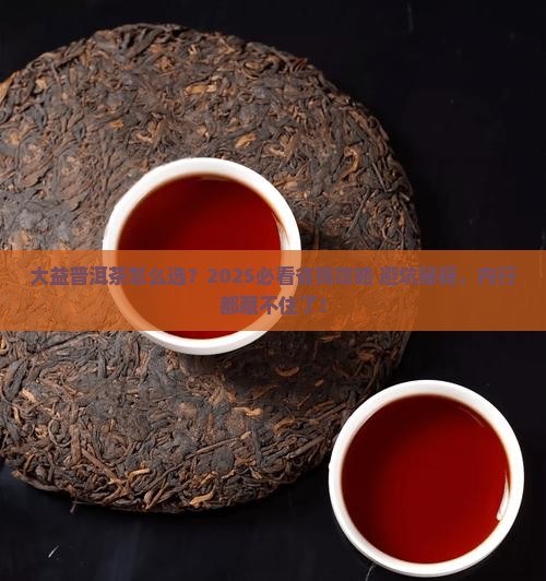 大益普洱茶那种