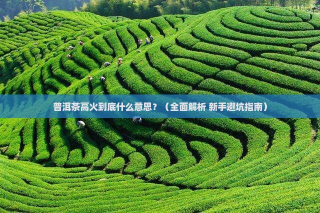 普洱茶高火是什么意思