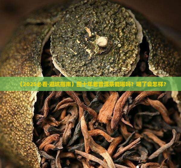 四十年制造普洱茶能喝吗