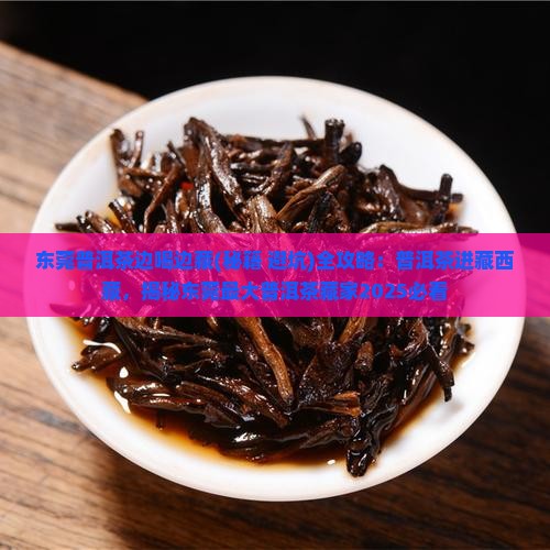 东莞普洱茶边喝边藏