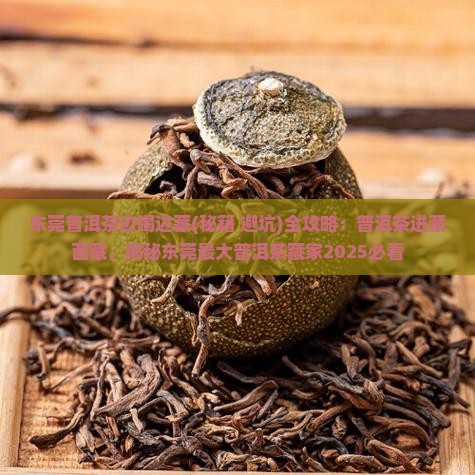 东莞普洱茶边喝边藏