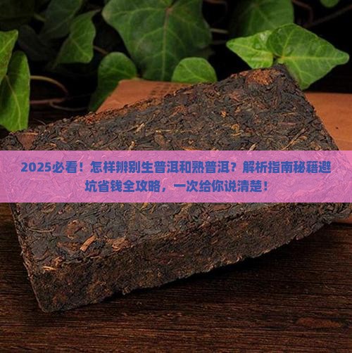 怎样辨别生普洱和熟普洱