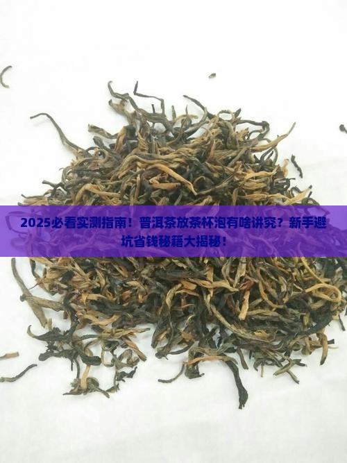 普洱茶可以放茶杯里面泡吗