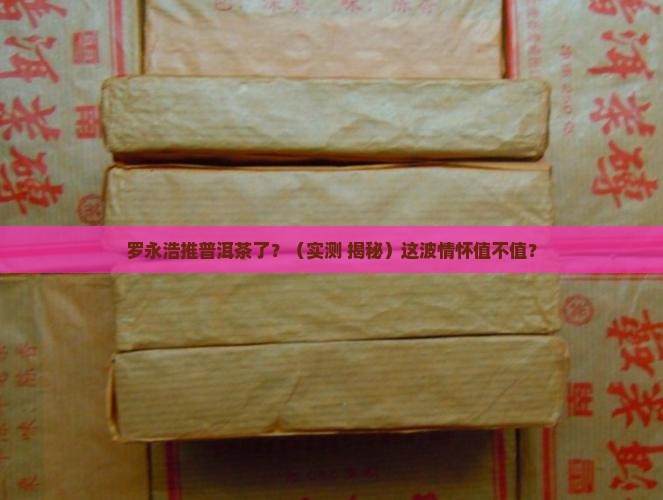 罗永浩久年普洱茶 罗永浩久年普洱茶