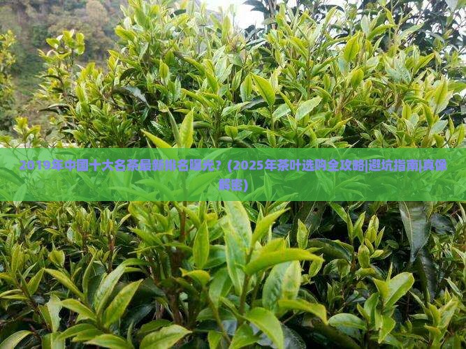 2019年中国十大名茶最新排名