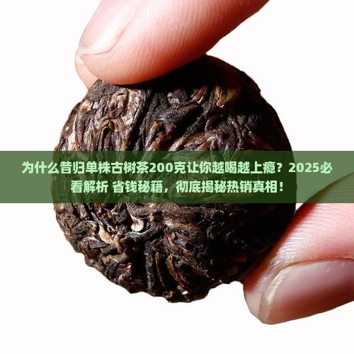 昔归单株古树茶200克