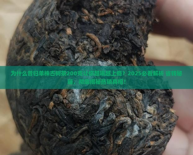 昔归单株古树茶200克