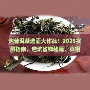 泡普洱茶用多大的壶好