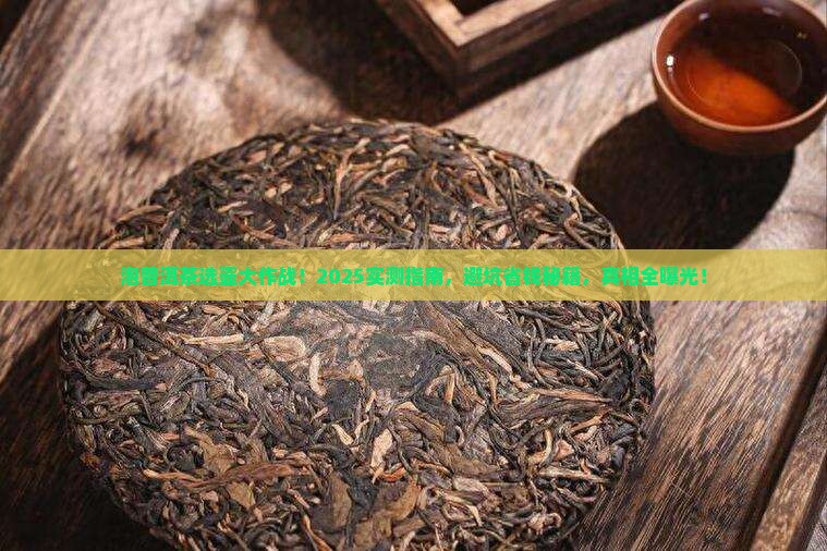 泡普洱茶用多大的壶好