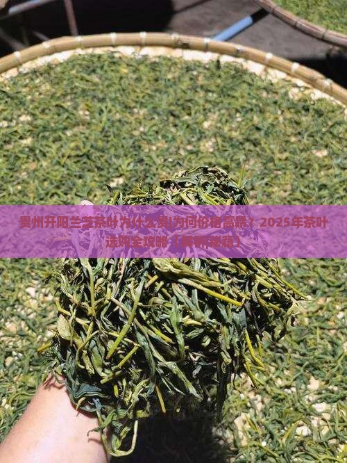 贵州开阳兰芝茶叶为什么贵