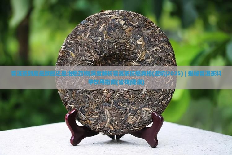 普洱茶到底是致癌还是治癌药物
