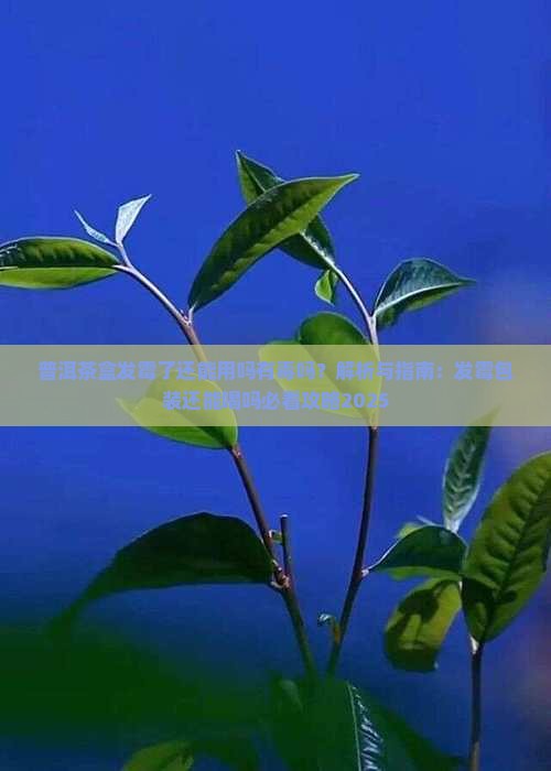 普洱茶盒发霉了还能用吗有毒吗
