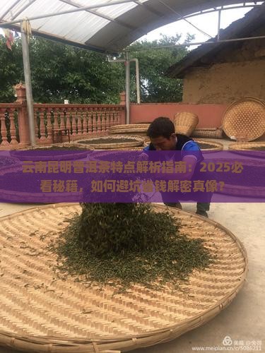 云南昆明普洱茶特点介绍