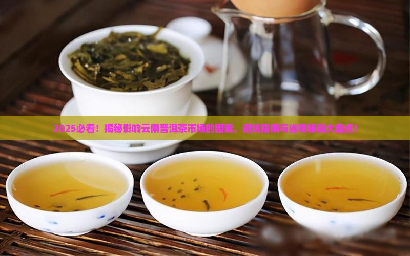 影响云南普洱茶市场的因素
