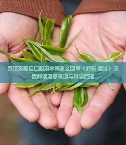 普洱茶喝后口腔麻木吗怎么回事