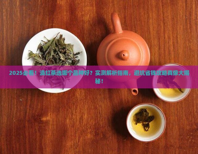 滇红茶那一个品种好呢