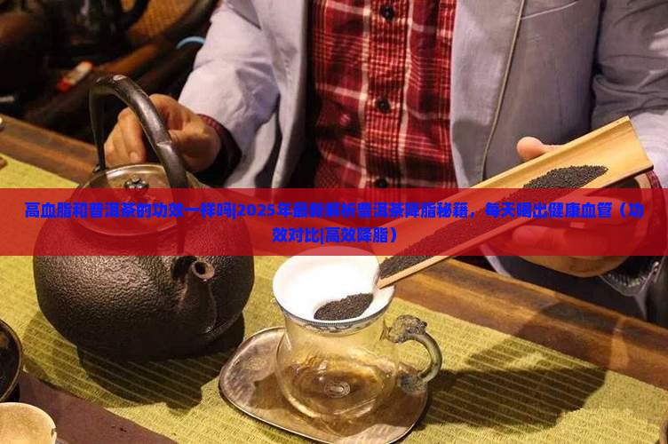 高血脂和普洱茶的功效一样吗