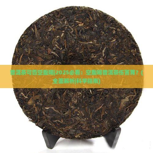 普洱茶可否空腹喝
