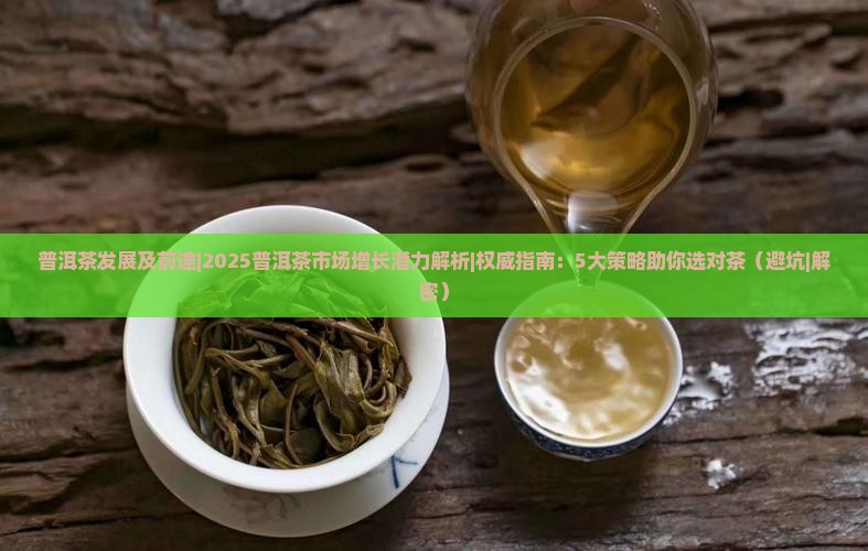 普洱茶发展及前途 普洱茶发展及前途