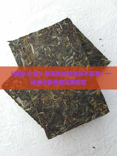 普洱茶树算茶吗