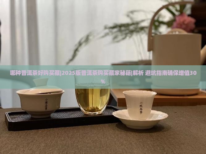 哪种普洱茶好购买藏