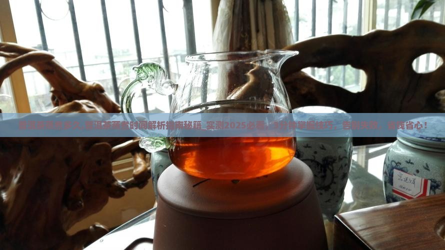普洱茶蒸煮多久
