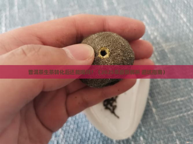 普洱茶生茶转化后还能喝吗