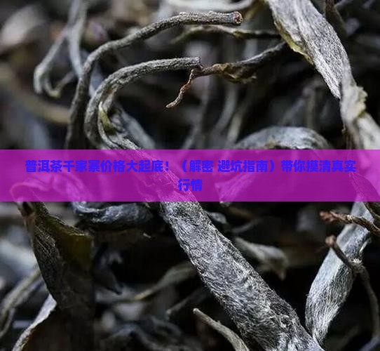 普洱茶价格千家寨