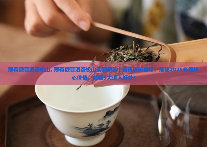 薄荷糖普洱茶极山