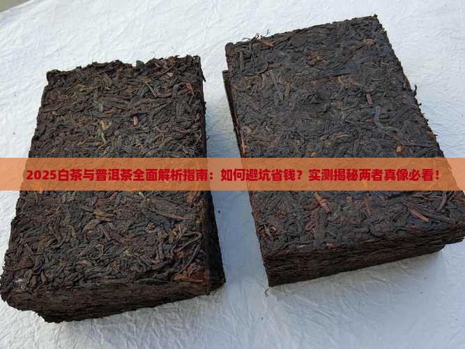 白茶和普洱茶有区别吗
