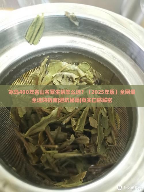 冰岛400年名山名寨生茶 冰岛400年名山名寨生茶