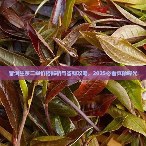 普洱茶二级生茶价格